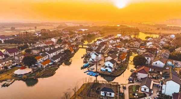 挖到宝了！沪派江南重现唐末遗迹，村民变身乡土专家，4大首发区5月见