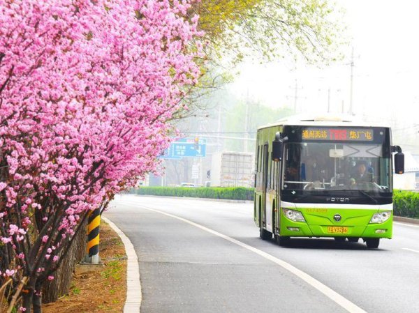 保障清明假期市民出行 北京公交启动专项运输服务