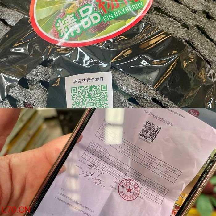 西郊国际内部分浙江杨梅货品的检测证明。摄影/冯小芯