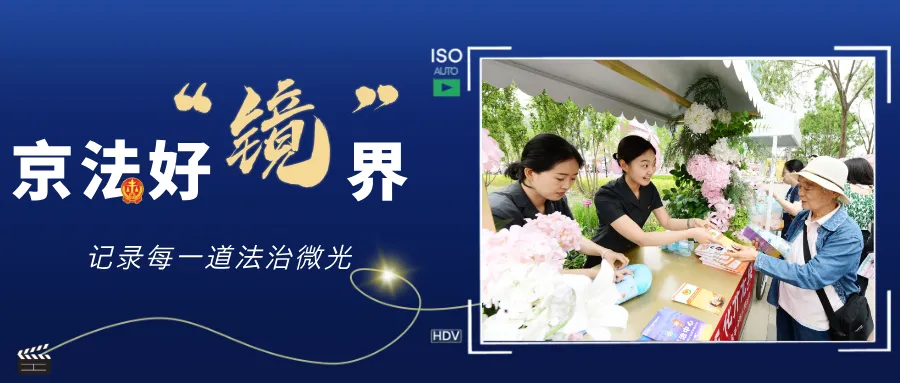 京法好“镜”界 | 于花海中邂逅“法”式浪漫