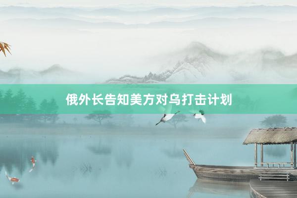 俄外长告知美方对乌打击计划