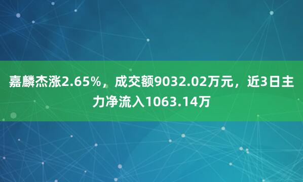 嘉麟杰涨2.65%，成交额9032.02万元，近3日主力净流入1063.14万