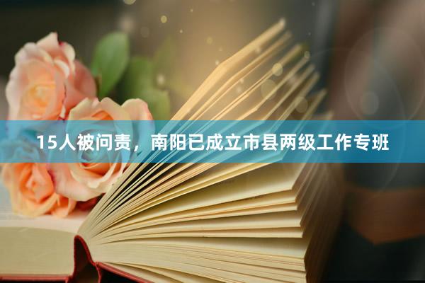 15人被问责，南阳已成立市县两级工作专班