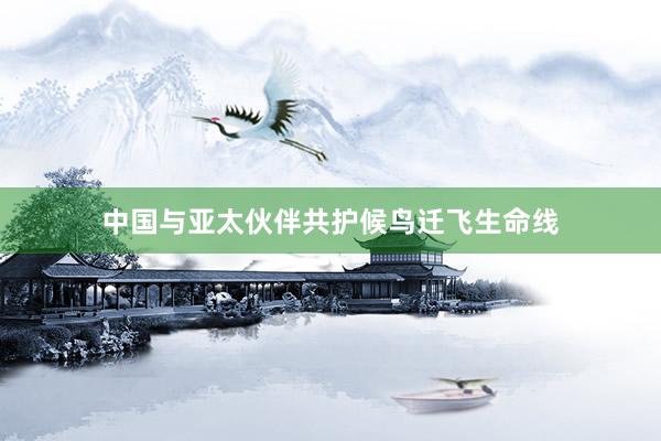 中国与亚太伙伴共护候鸟迁飞生命线