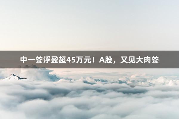 中一签浮盈超45万元！A股，又见大肉签