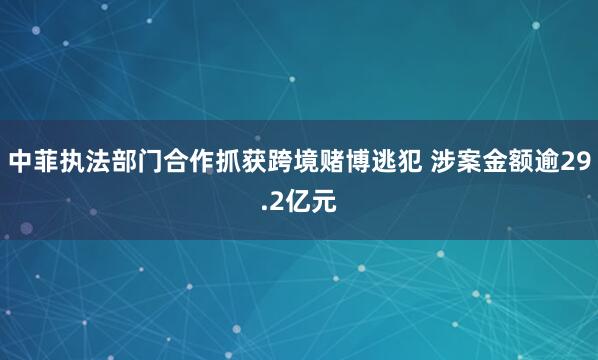 中菲执法部门合作抓获跨境赌博逃犯 涉案金额逾29.2亿元