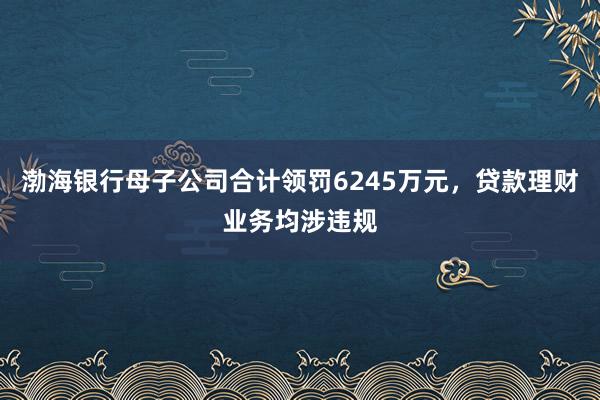 渤海银行母子公司合计领罚6245万元，贷款理财业务均涉违规