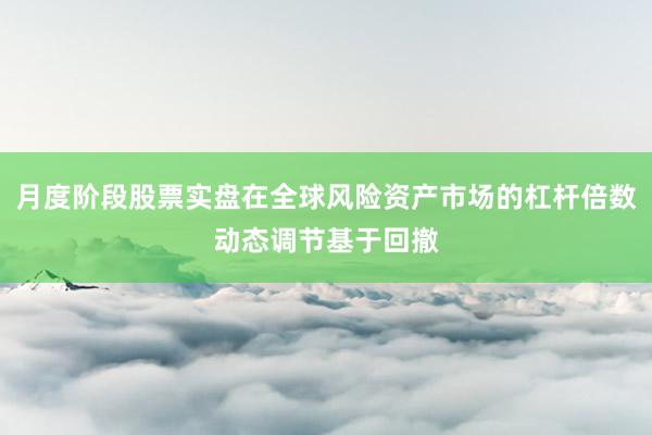 月度阶段股票实盘在全球风险资产市场的杠杆倍数动态调节基于回撤