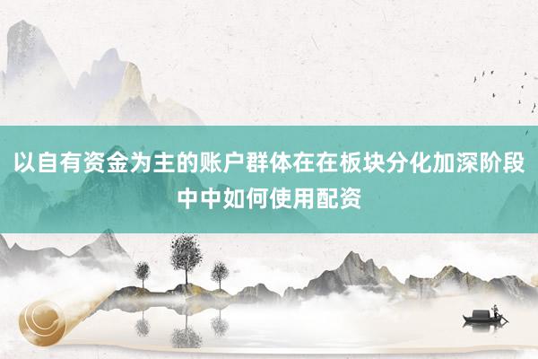 以自有资金为主的账户群体在在板块分化加深阶段中中如何使用配资