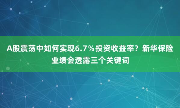 A股震荡中如何实现6.7％投资收益率？新华保险业绩会透露三个关键词