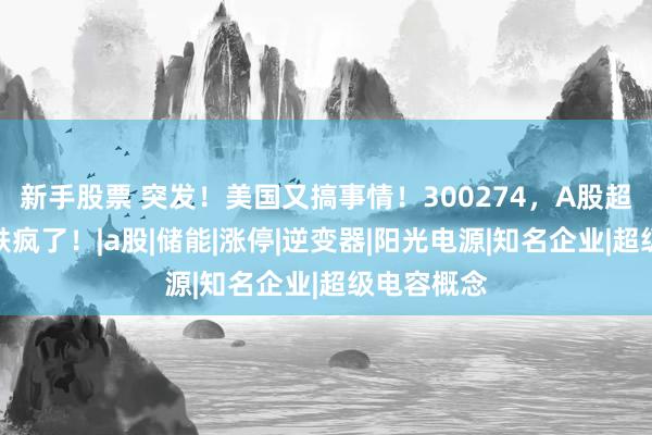 新手股票 突发！美国又搞事情！300274，A股超级龙头，跌疯了！|a股|储能|涨停|逆变器|阳光电源|知名企业|超级电容概念