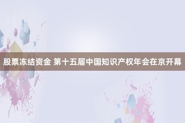 股票冻结资金 第十五届中国知识产权年会在京开幕
