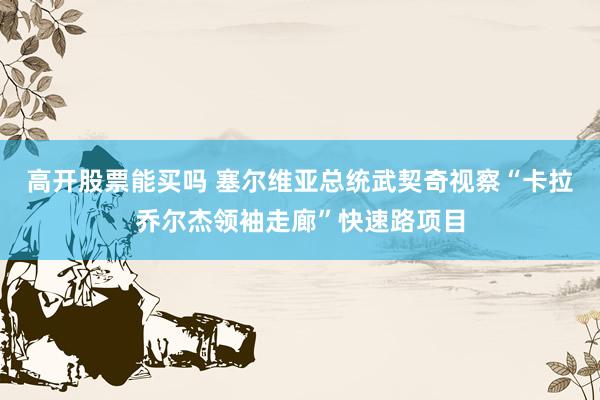 高开股票能买吗 塞尔维亚总统武契奇视察“卡拉乔尔杰领袖走廊”快速路项目